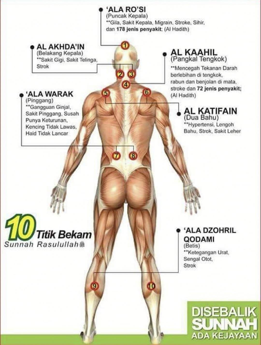 Rumah Bekam Panji Medispa 10 Titik Bekam Sunnah Rasulullah Saw Hanya Rm70 Harga Termasuk 2 Cup Tambahan Percuma Bekam Luncur 10cup Bekam Angin 10cup Bekam Darah Urutan Seri Wajah Skrub Muka