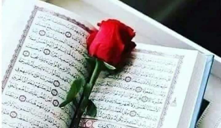 له خوا بترسه