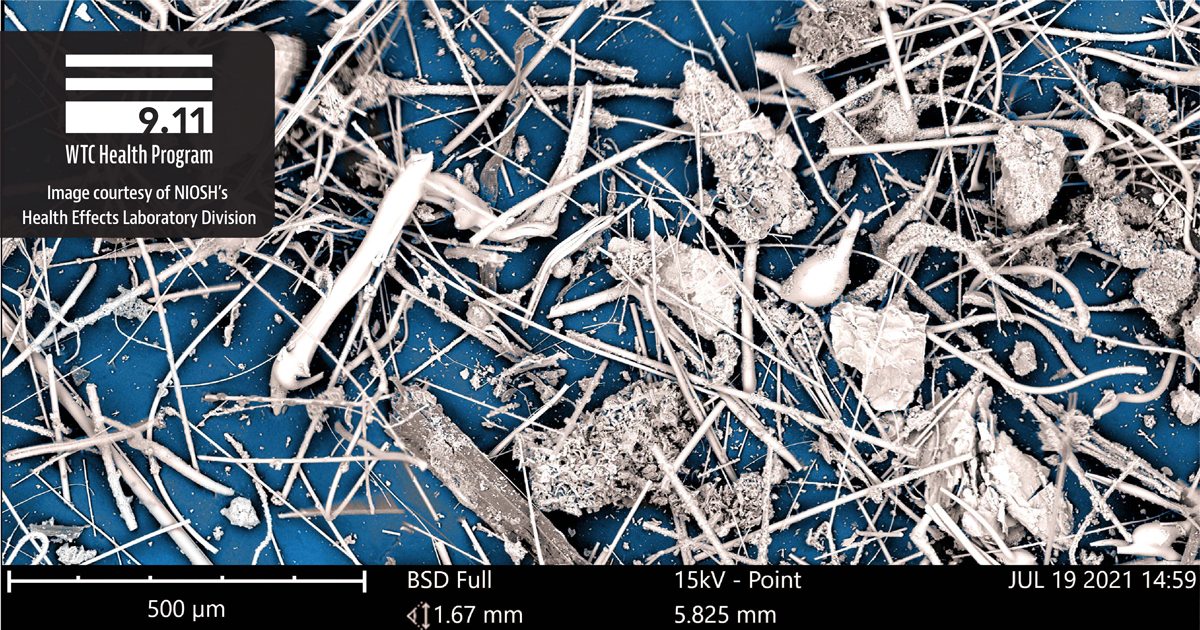 What was in the World Trade Center dust? To find out, NIOSH used a ...