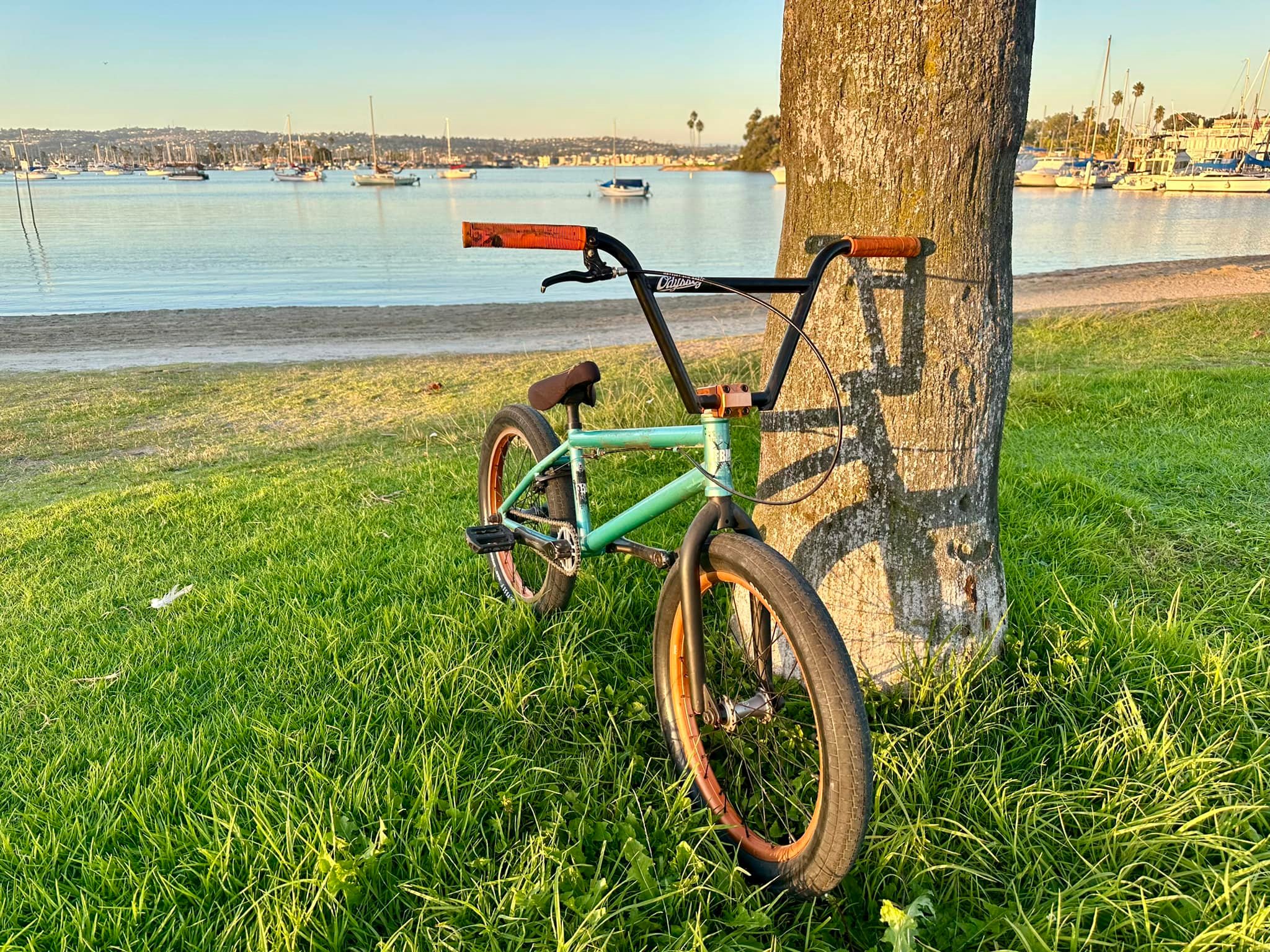 Riding rebuilt FBM Marauder BMX at the beach