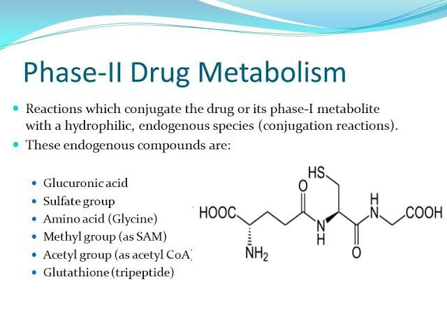 Which one of the following types of reaction takes place in phase II metabolism of a drug? Conjugation Hydrolysis Reduction Deamination Dealkylation