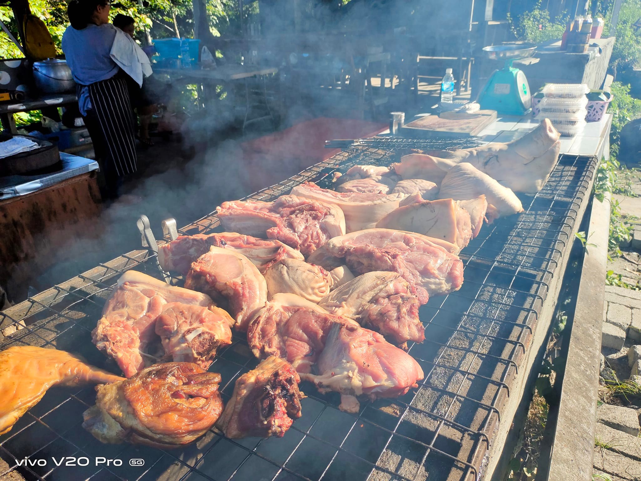 Sinalau BAKAS Simpodon KB... - Sinalau BAKAS Simpodon KB
