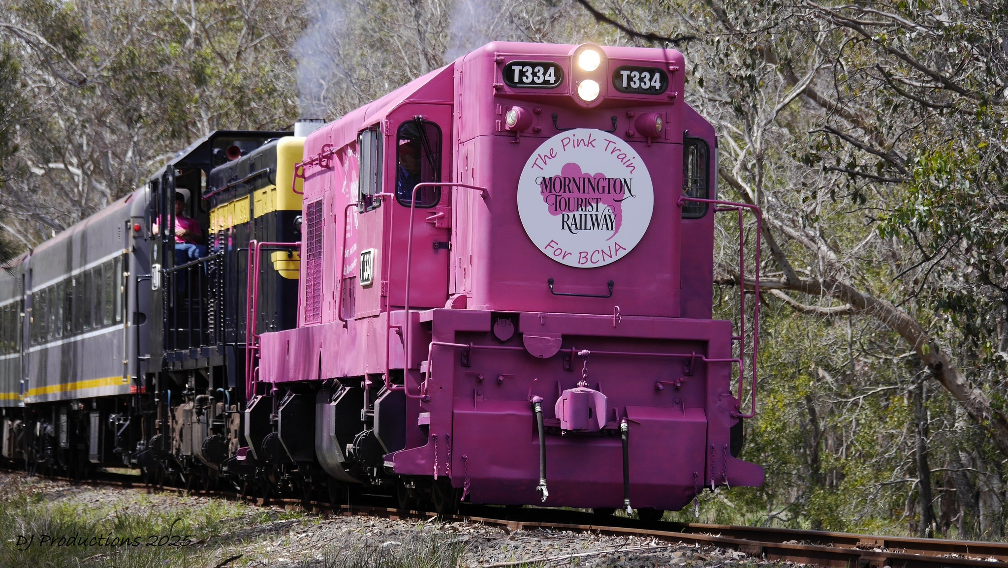 Explore Melbourne | The Mornington Tourist Railway ran a special ...