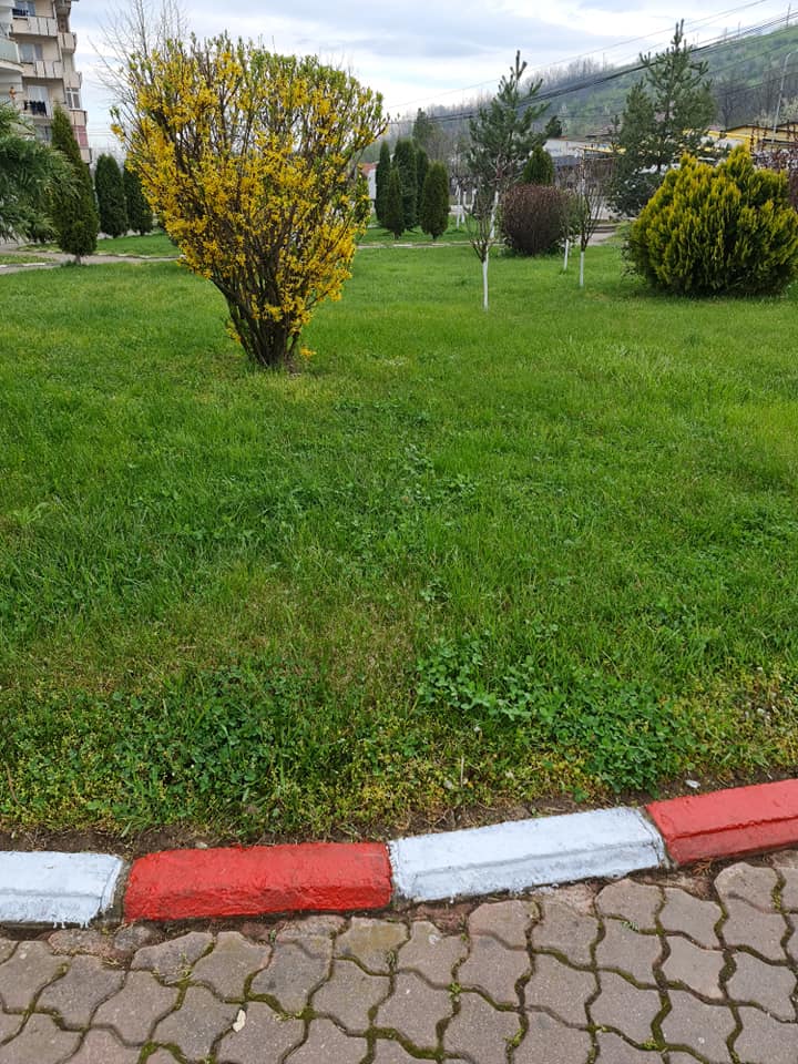 Primaria Municipiului Motru... - Primaria Municipiului Motru