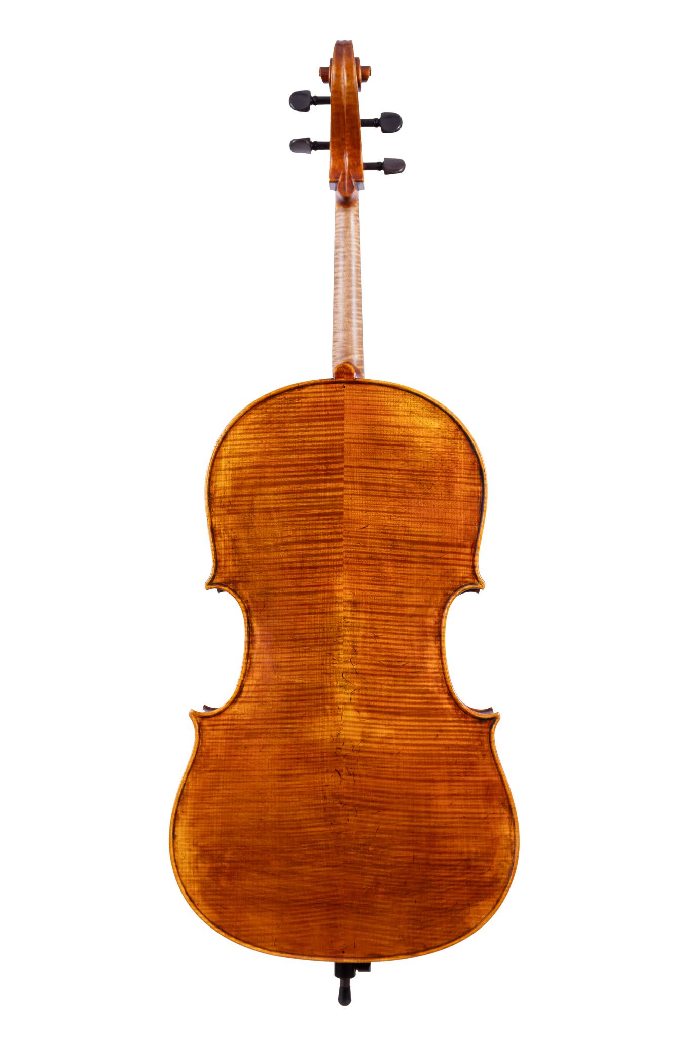 Luthier's third Montagnana-derived cello