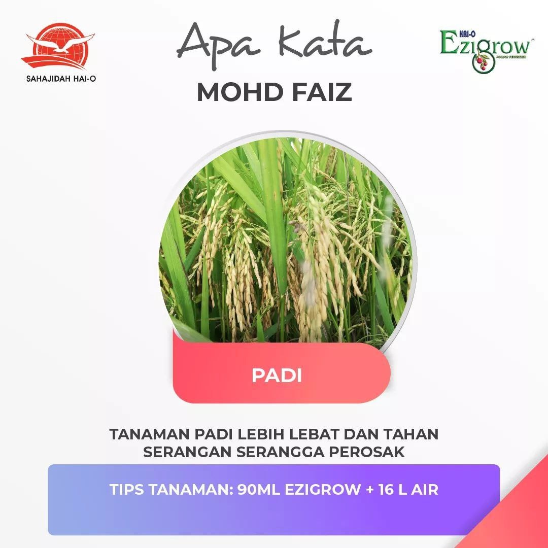 Jom Kita Tengok Apa Kata Pengguna Baja Terbaik Ezigrow Facebook