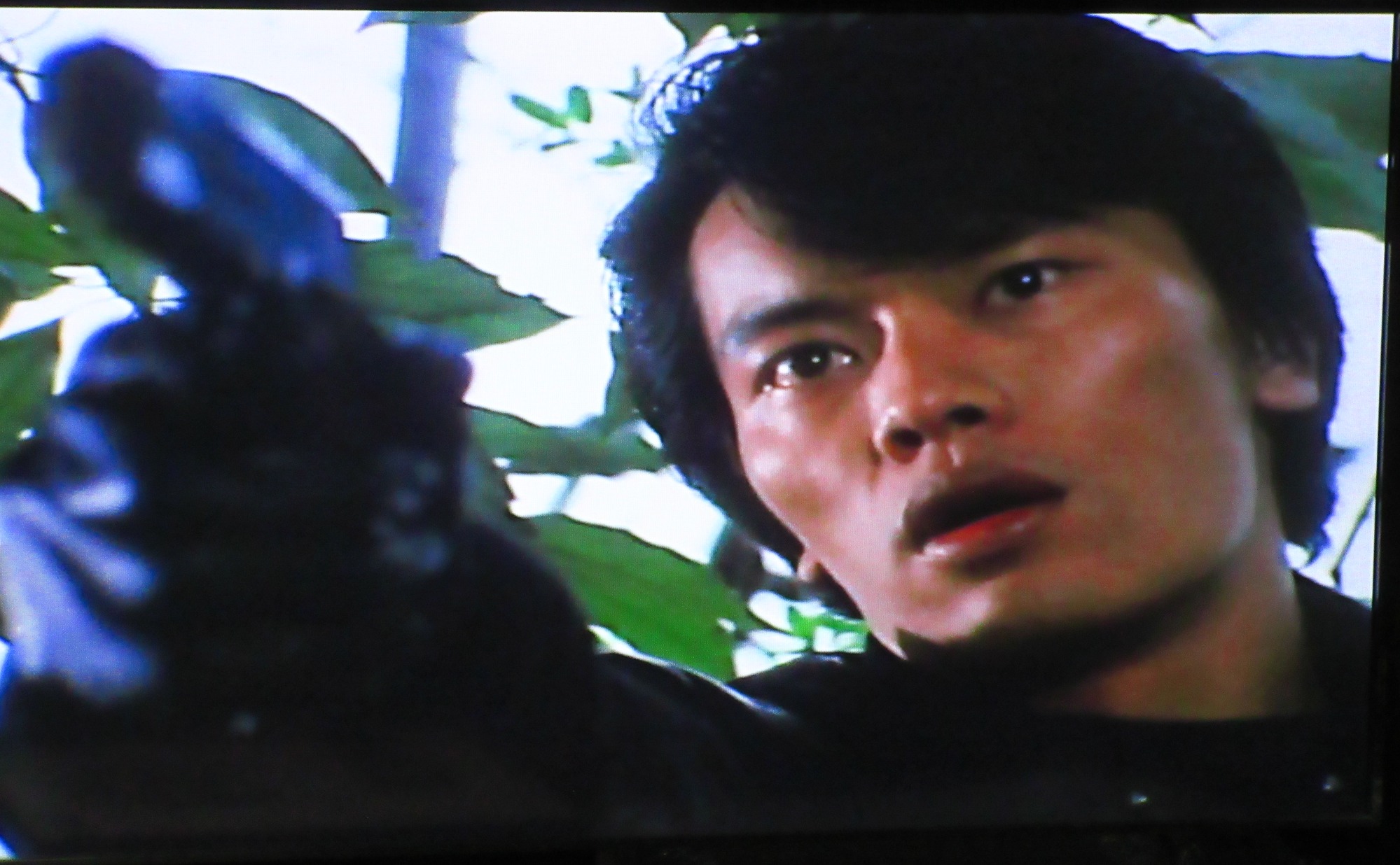 ブーフーウー』 NHK『おかあさんといっしょ』の初代ぬいぐるみ人形劇