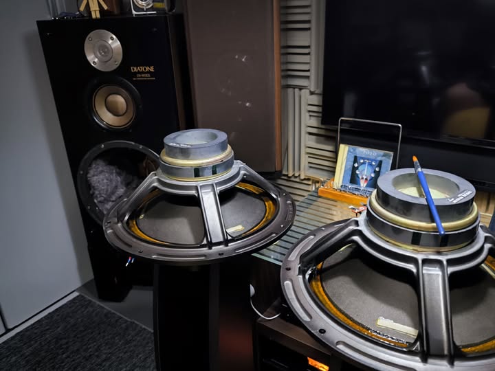 お邪魔します。 豪雨の連休は…。 骨董スピーカー「DS-900EX」のO/H