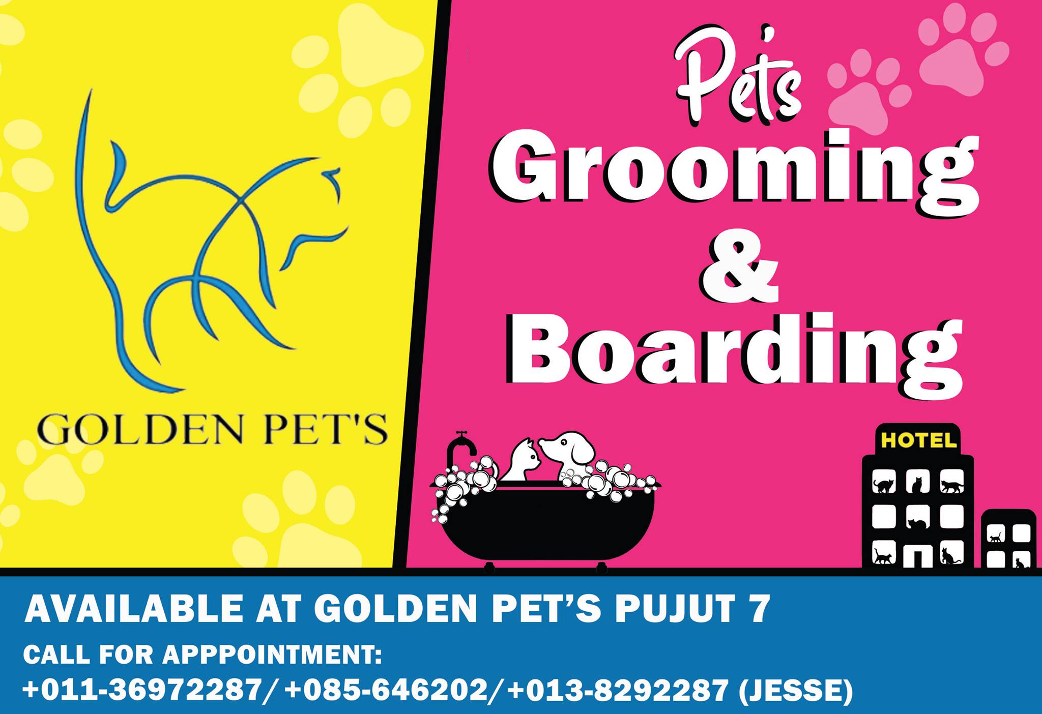 Golden Pet S Miri Home Facebook