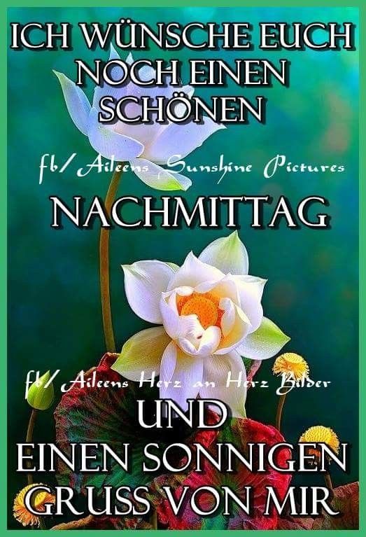 Lustige Oma Bilder für einen Guten Morgen oder Abend | Facebook