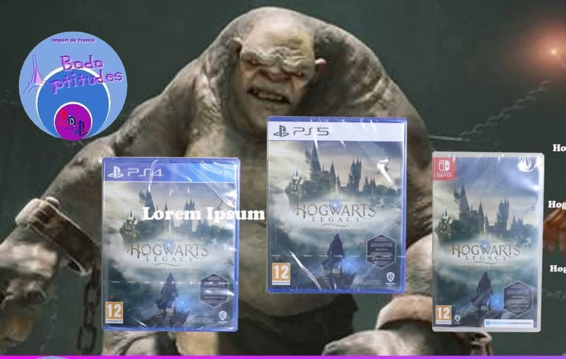 Jeu Hogwarts Legacy L'Héritage De Poudlard - Version PS5 - Très Bon état - Expédition Rapide