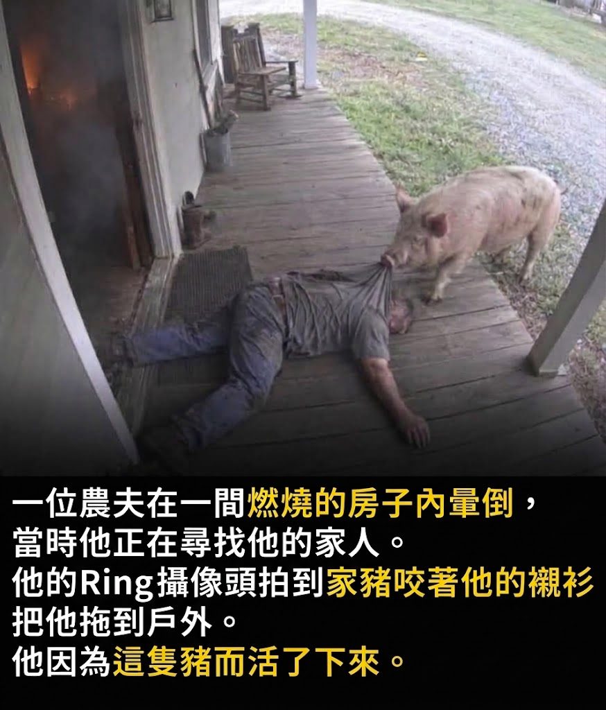 上次問香港人是不是中國人、 這一次問台灣人是不是中國人、 他們是不是
