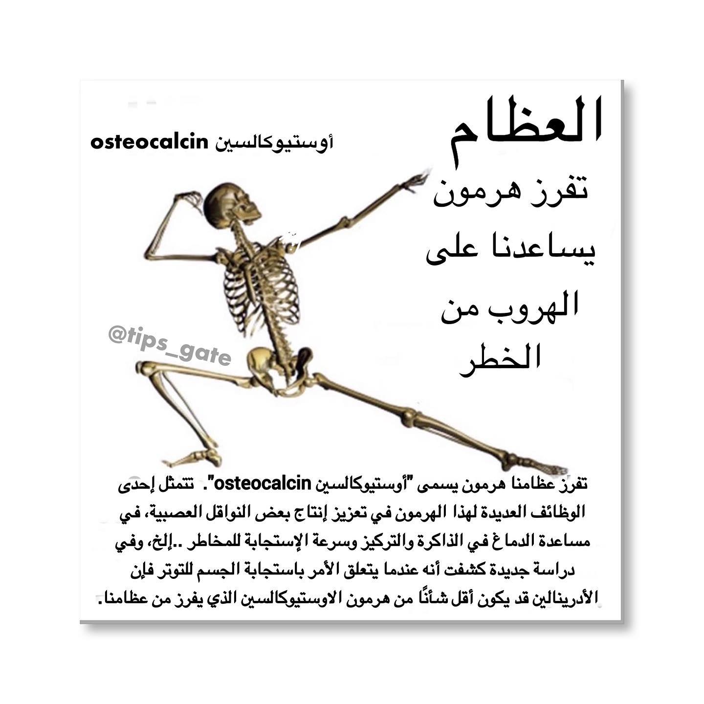 Tips Gate اضغط لايك وشارك الموضوع ما الجديد في Facebook