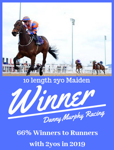 Danny Murphy Racing | Kildare