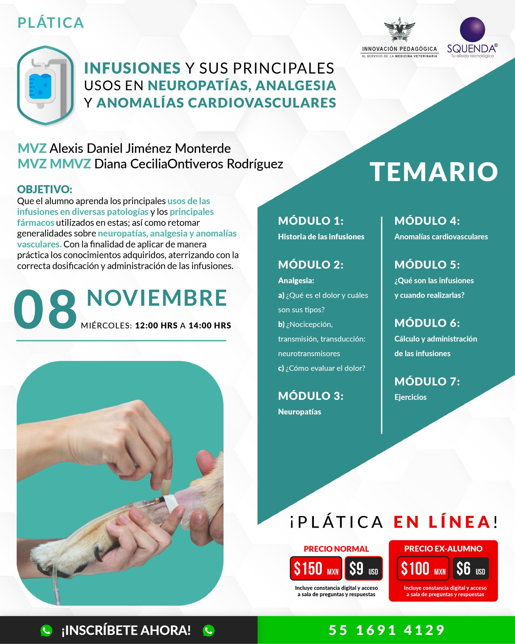 INVAE - Descubre los secretos de las infusiones y su aplicación en ...