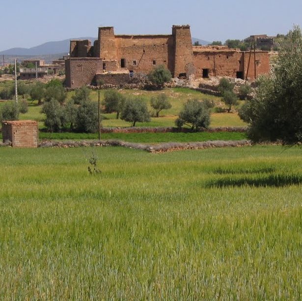 Wawala