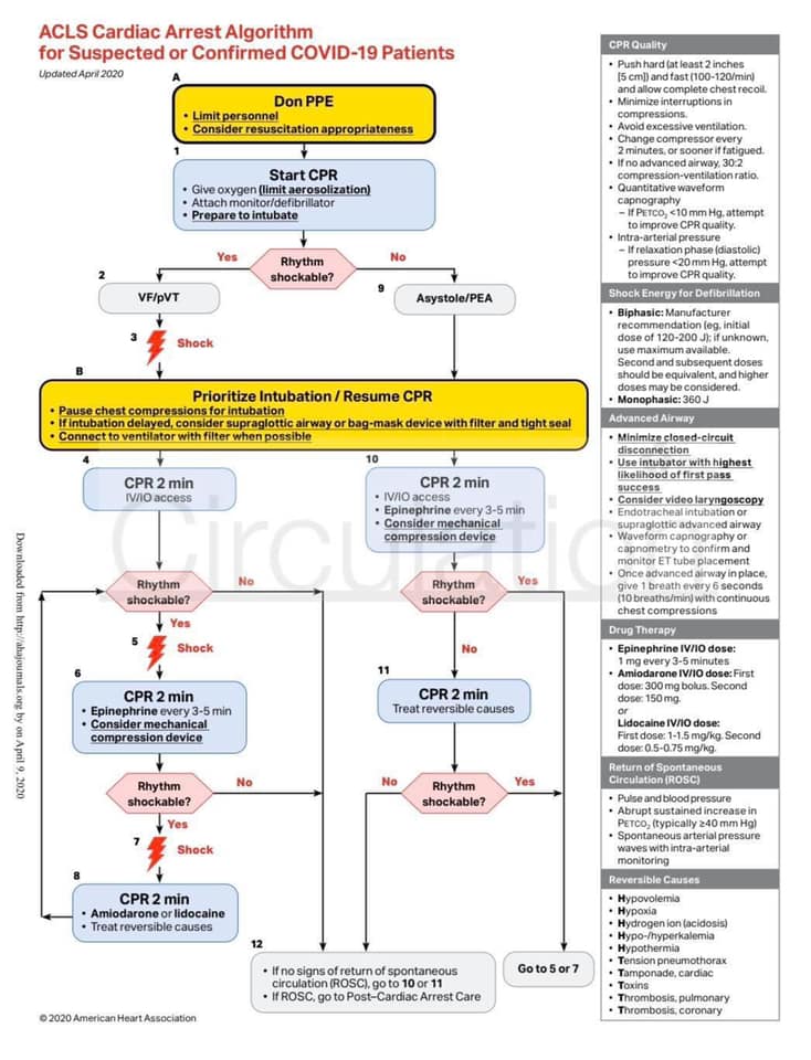 BLS ＋ ACLS セット 2020 最新版 American Heart Association・電子