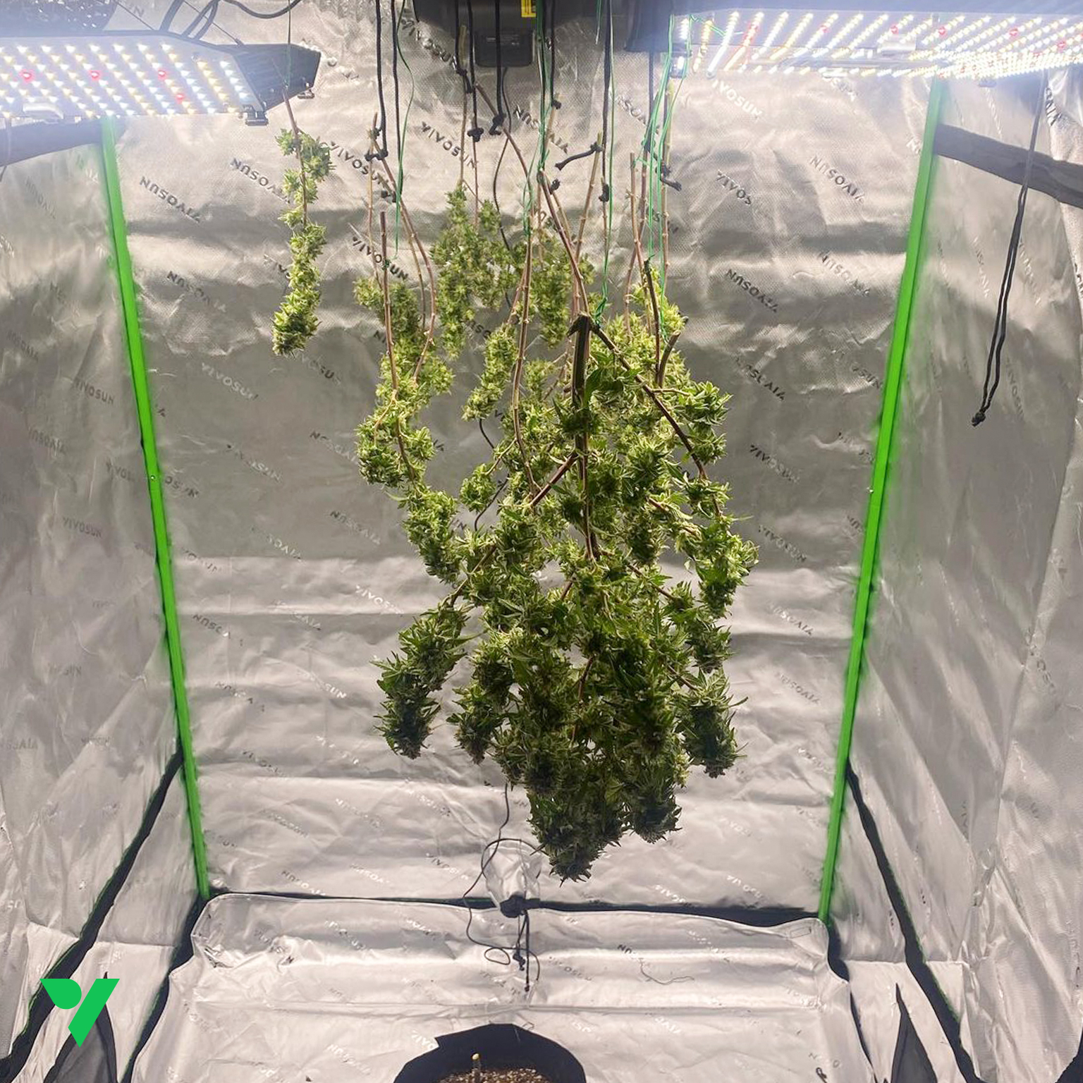 VIVOSUN - How beautiful is this harvest? Feast your eyes!...