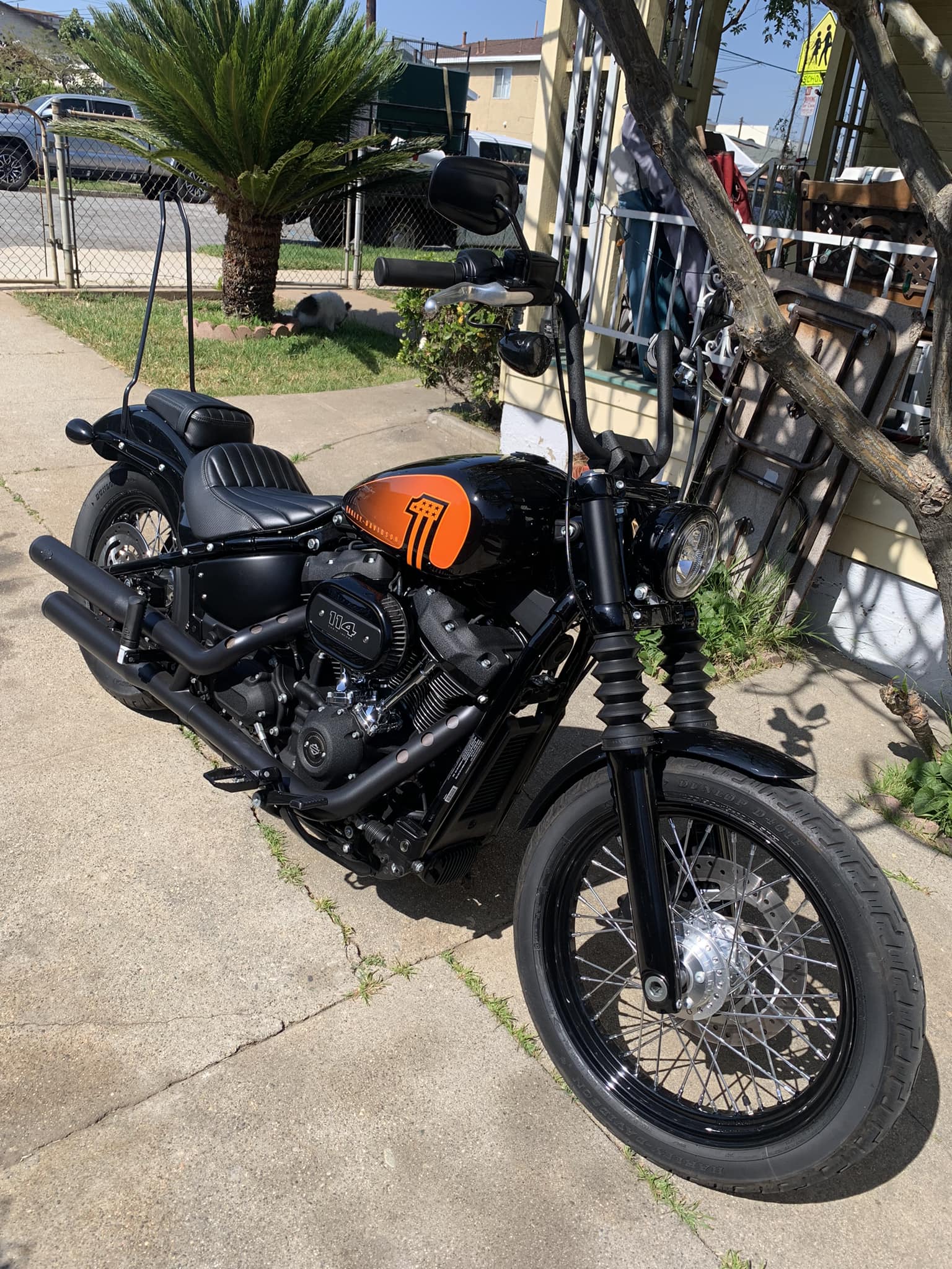 2024 Vivid Black Street Bob gas tank raise examples needed