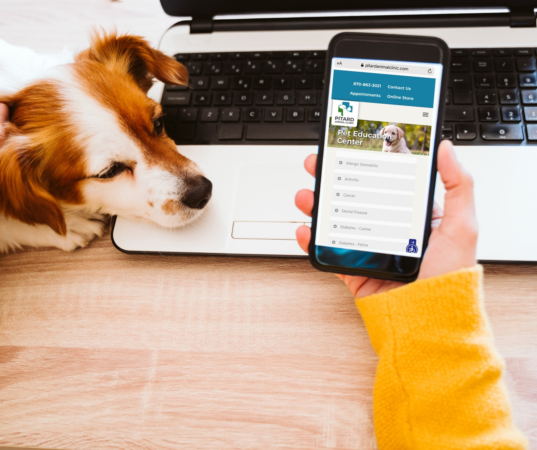 ⁉️ Did you know we have a Pet... - Pitard Animal Clinic | Facebook