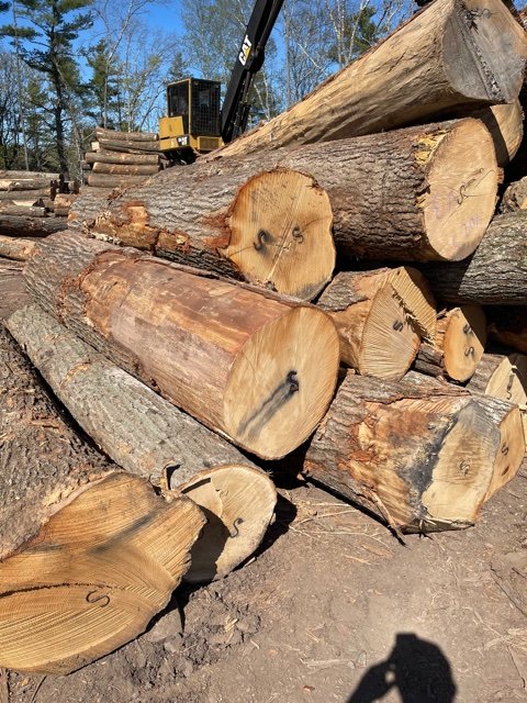 Ezzi Forest Exports LLC - Log / Timber / Lumber Exports | Houston TX
