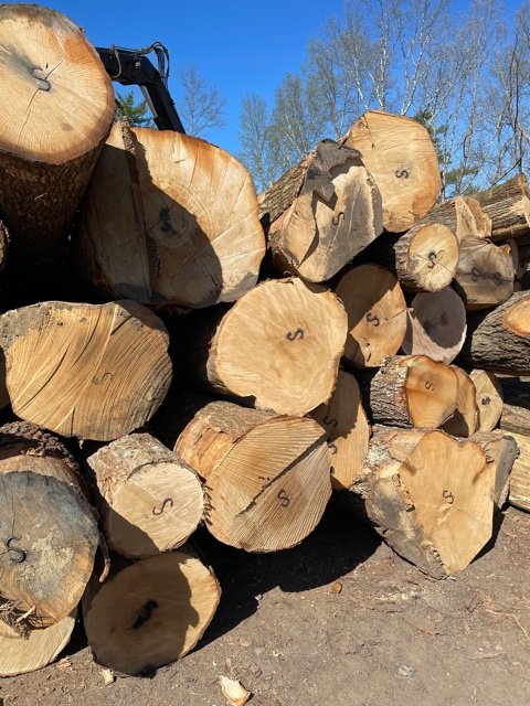 Ezzi Forest Exports LLC - Log / Timber / Lumber Exports | Houston TX