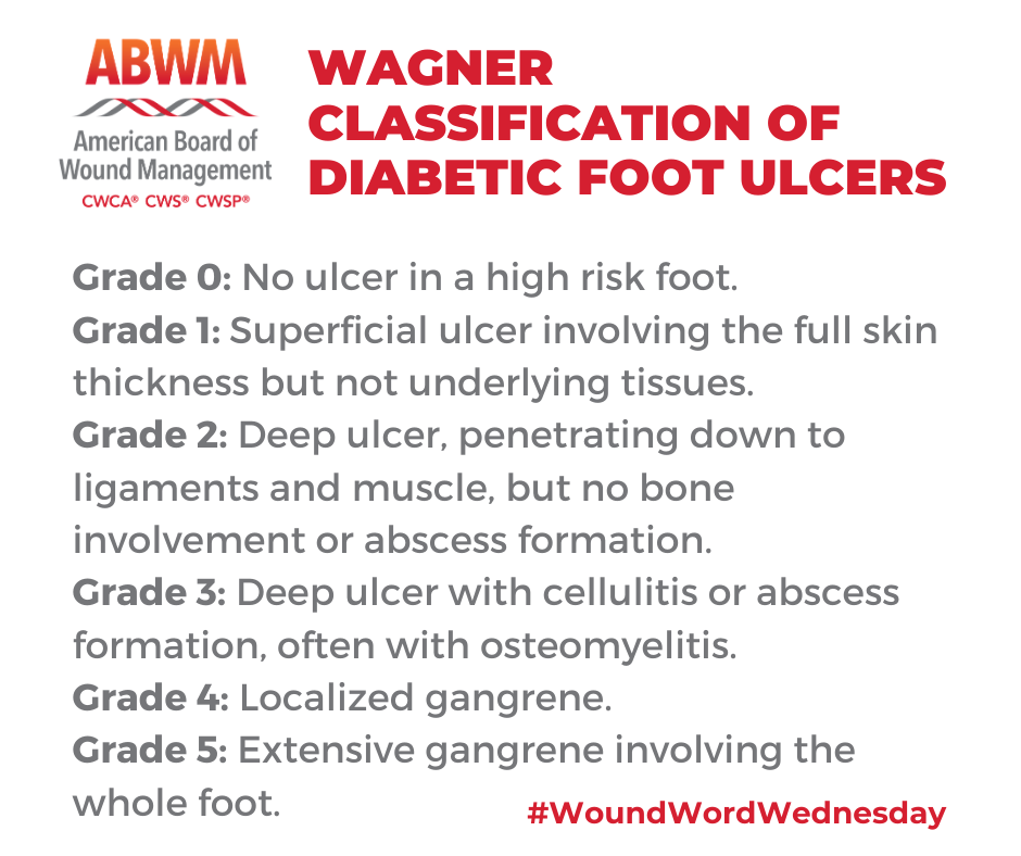This week's... - American Board of Wound Management | Facebook