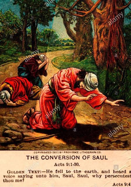 Feast of Conversion of Saint Paul Saint of the Day for January 25 Year ...