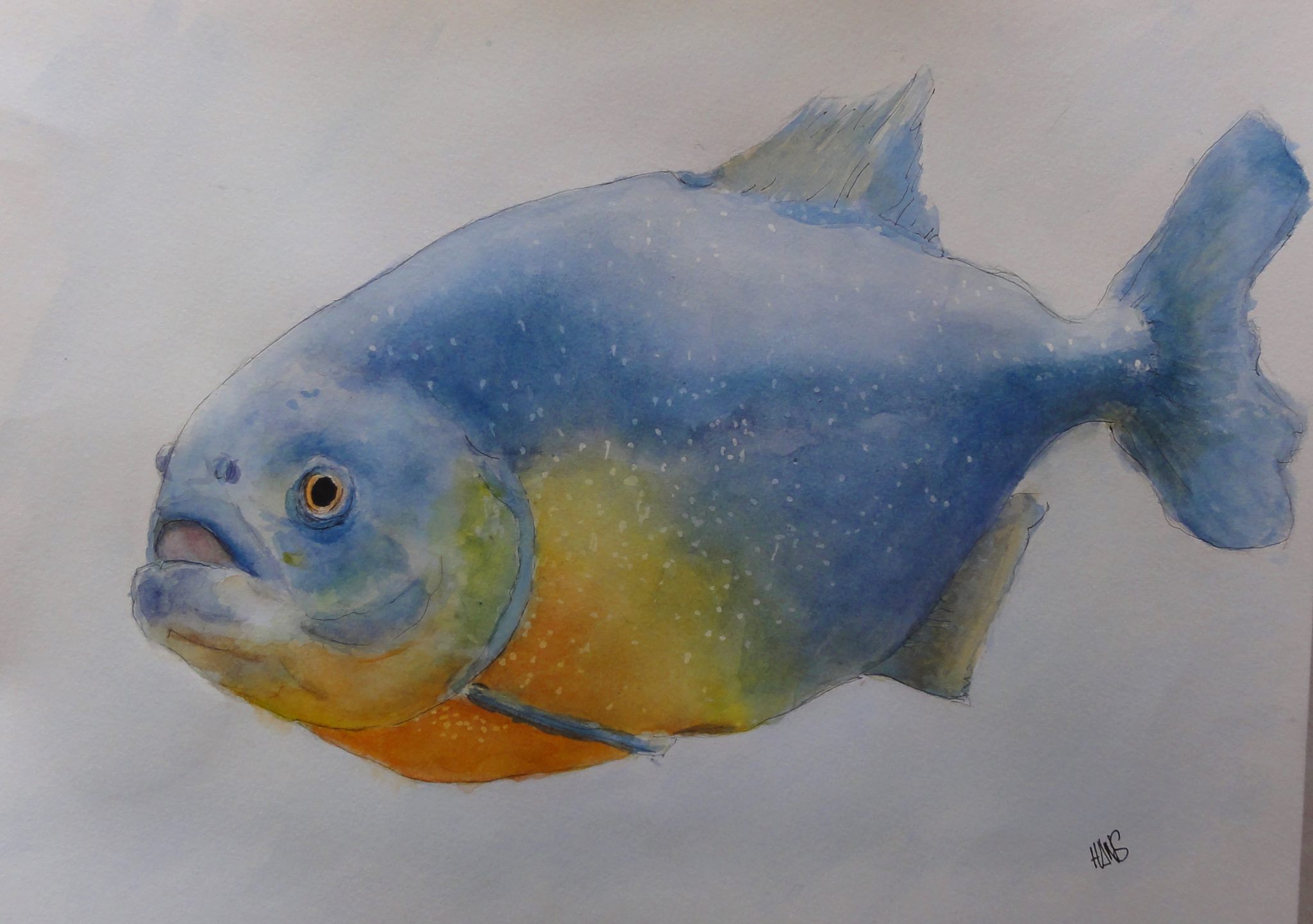 hansi-br-mond-peintures