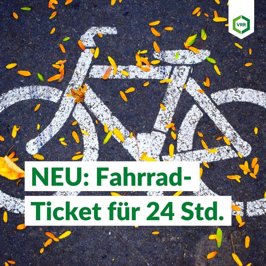 bcaa rennrad 2:1:1 Kapseln – Vegan, Rein & Schnelle Aufnahme Grillschutz Color:Columbia Zoomen Fahrrad Sattelstütze MTB