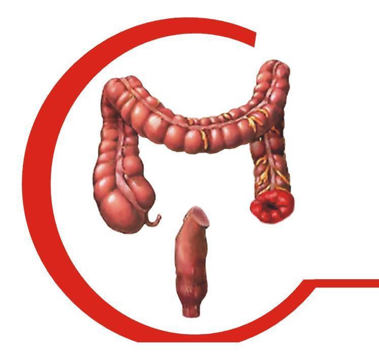 Centro... - Centro de Asesoria Especializada en Colostomias