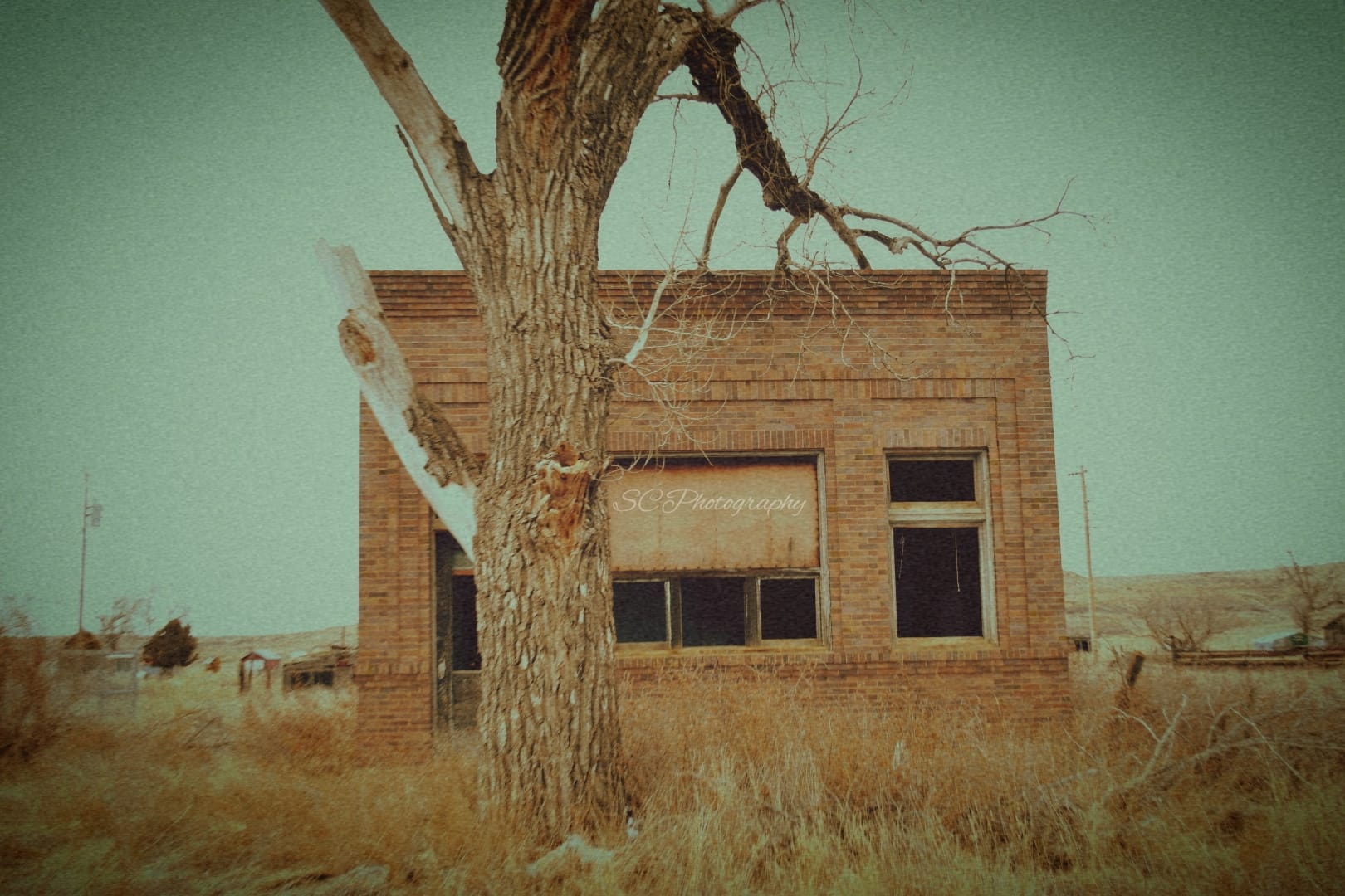 What is the history of Mildred, Montana?
