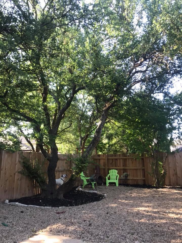 Top Dog Ranch | Austin TX