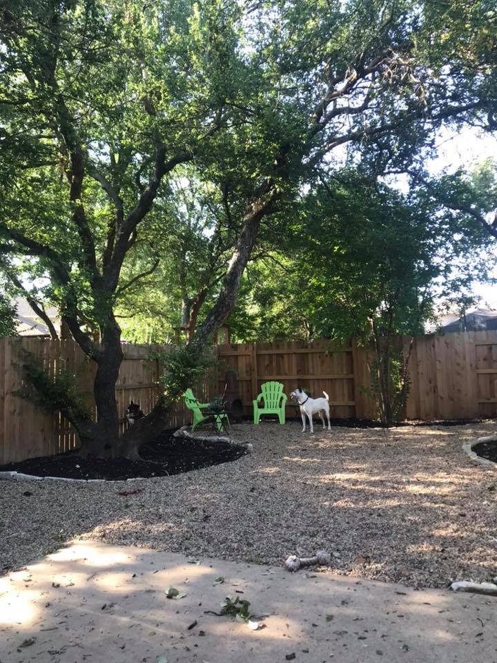 Top Dog Ranch | Austin TX