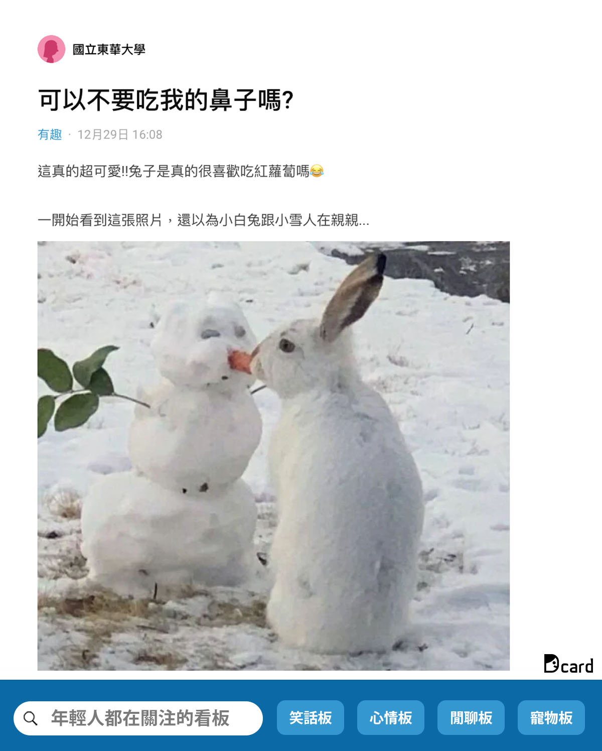 Dcard - 親一親就不小心把鼻子全部吃完了🥕🐰 吃完之後👉 https://dcard.link/4AD7fq...