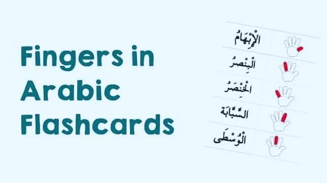 Courses Bites - Learn Arabic language using digital...