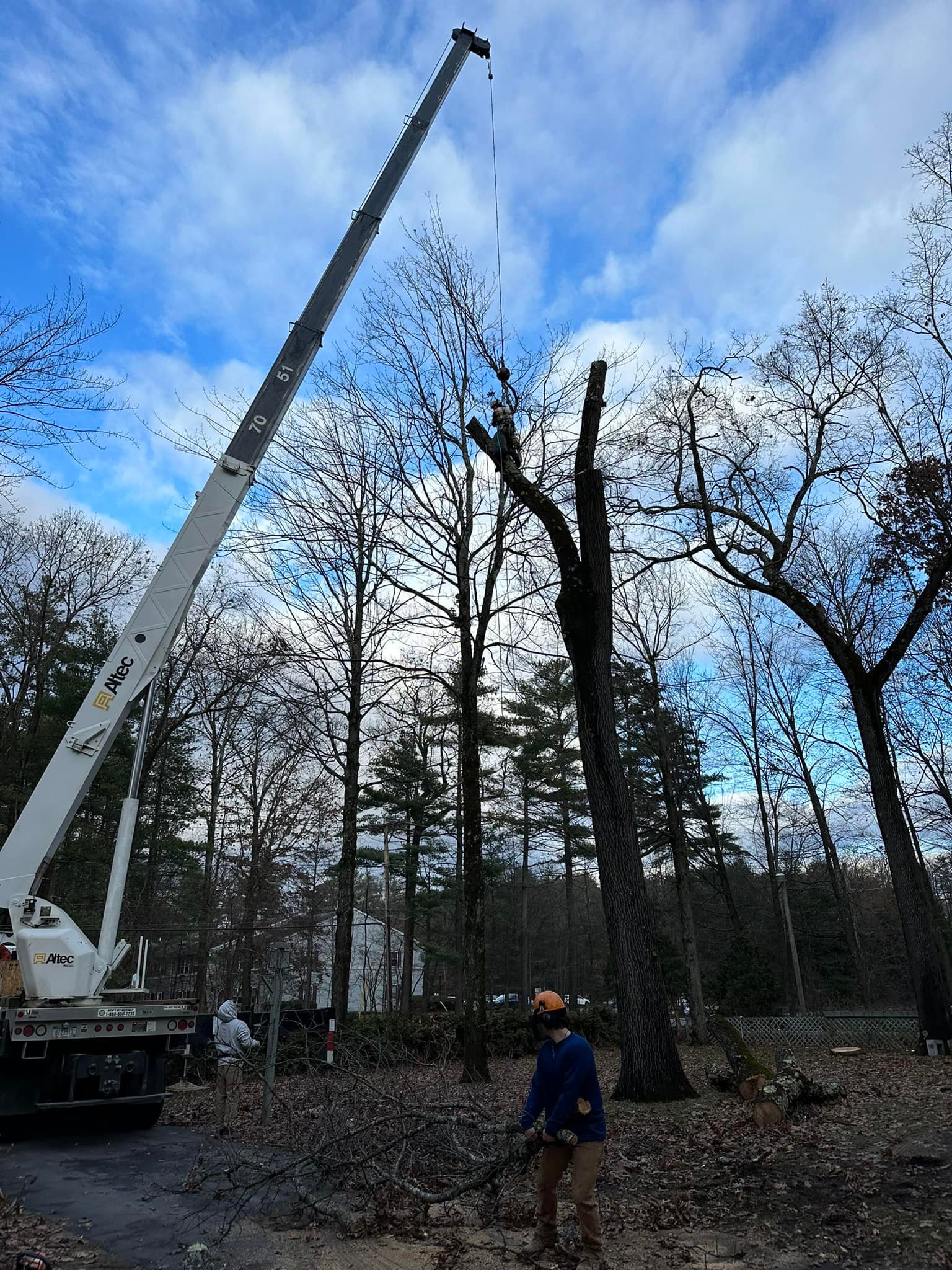 Ballston Tree & Property Services | Ballston Spa NY