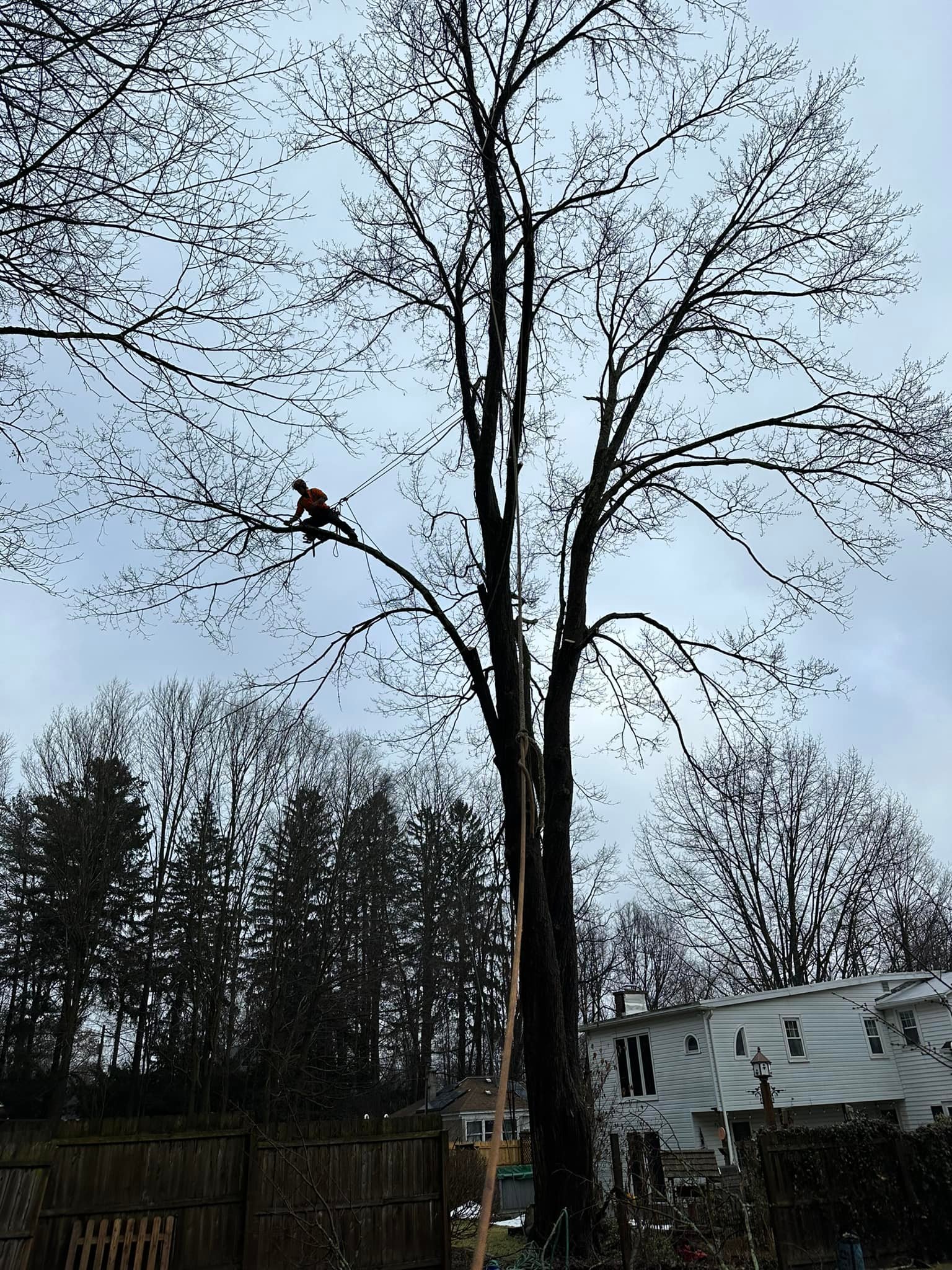Ballston Tree & Property Services | Ballston Spa NY