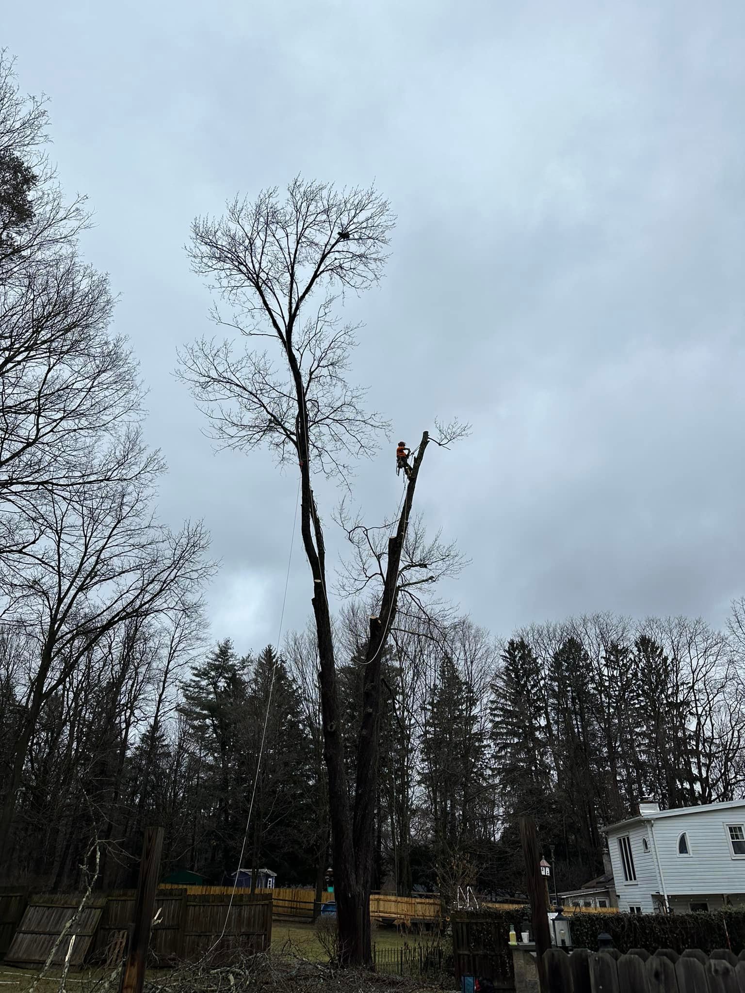 Ballston Tree & Property Services | Ballston Spa NY