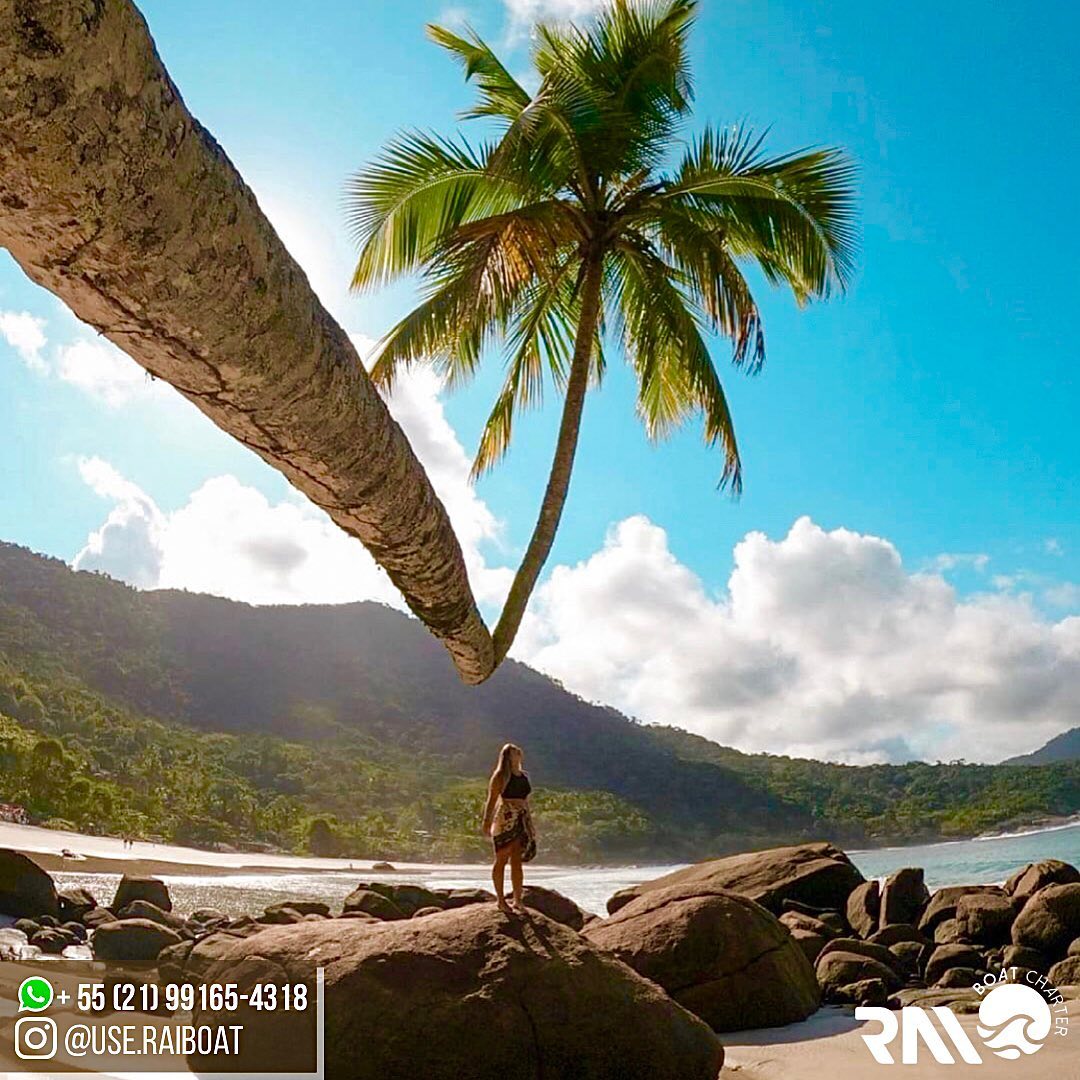 Rai Boat - 🌴 O coqueiro mais famoso do Brasil 🌴... | Facebook