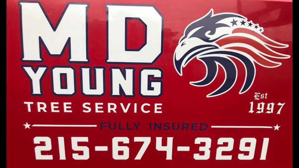MD Young Tree Service