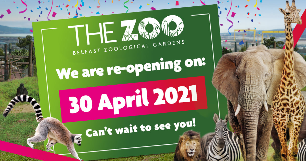 Great news to start the week!... - Belfast City Council | Facebook