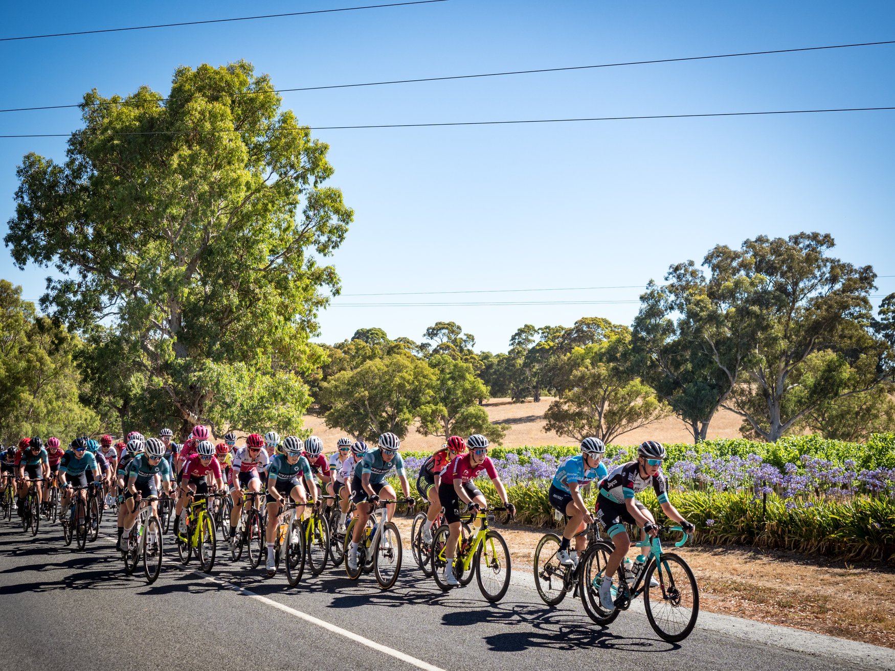 📅 SATURDAY 📅 It's Willunga day at the... - GreenEdge Cycling