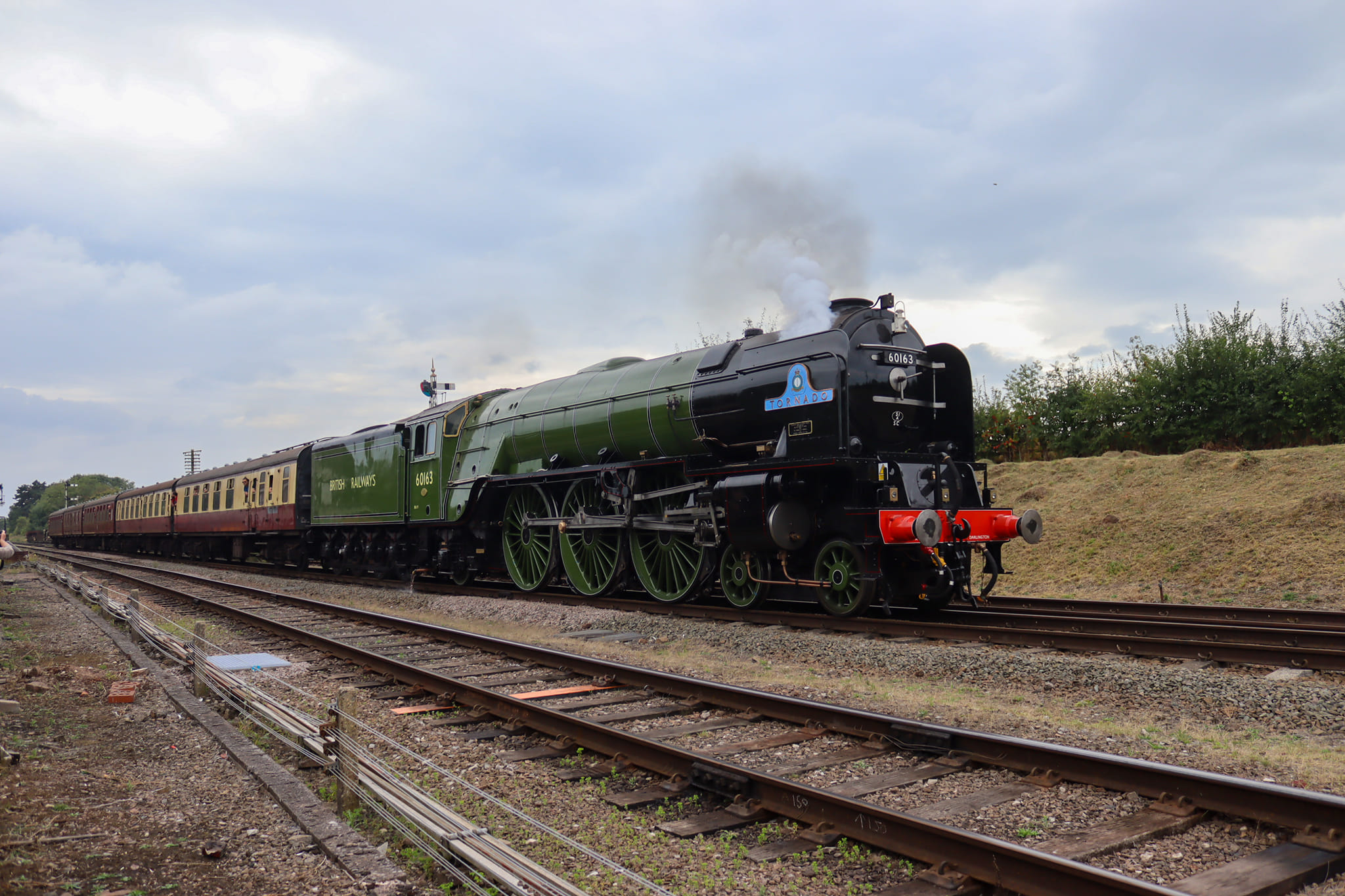 A lovely ride behind Tornado yesterday