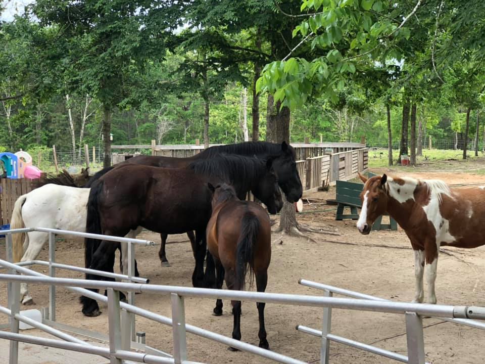CastAway Ranch