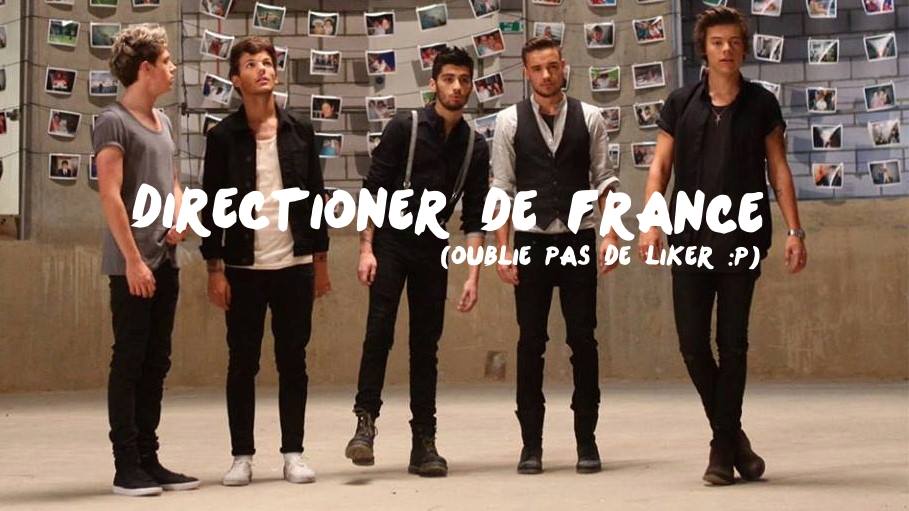 Directioner de France