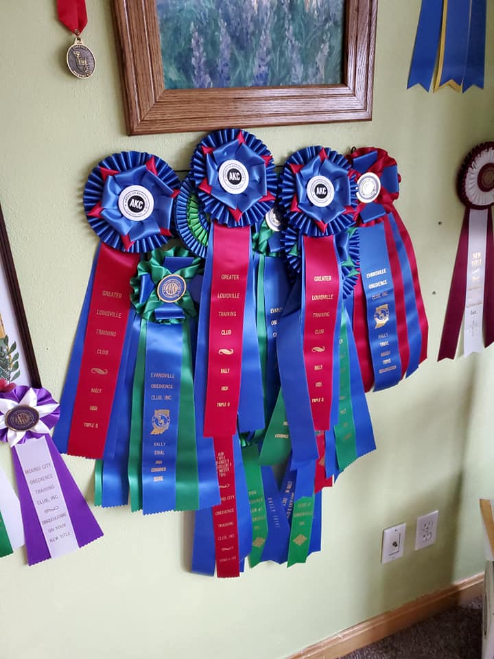 Dog Ribbon Displays | I currently hang my big HIT/HC ribbons on a crate ...