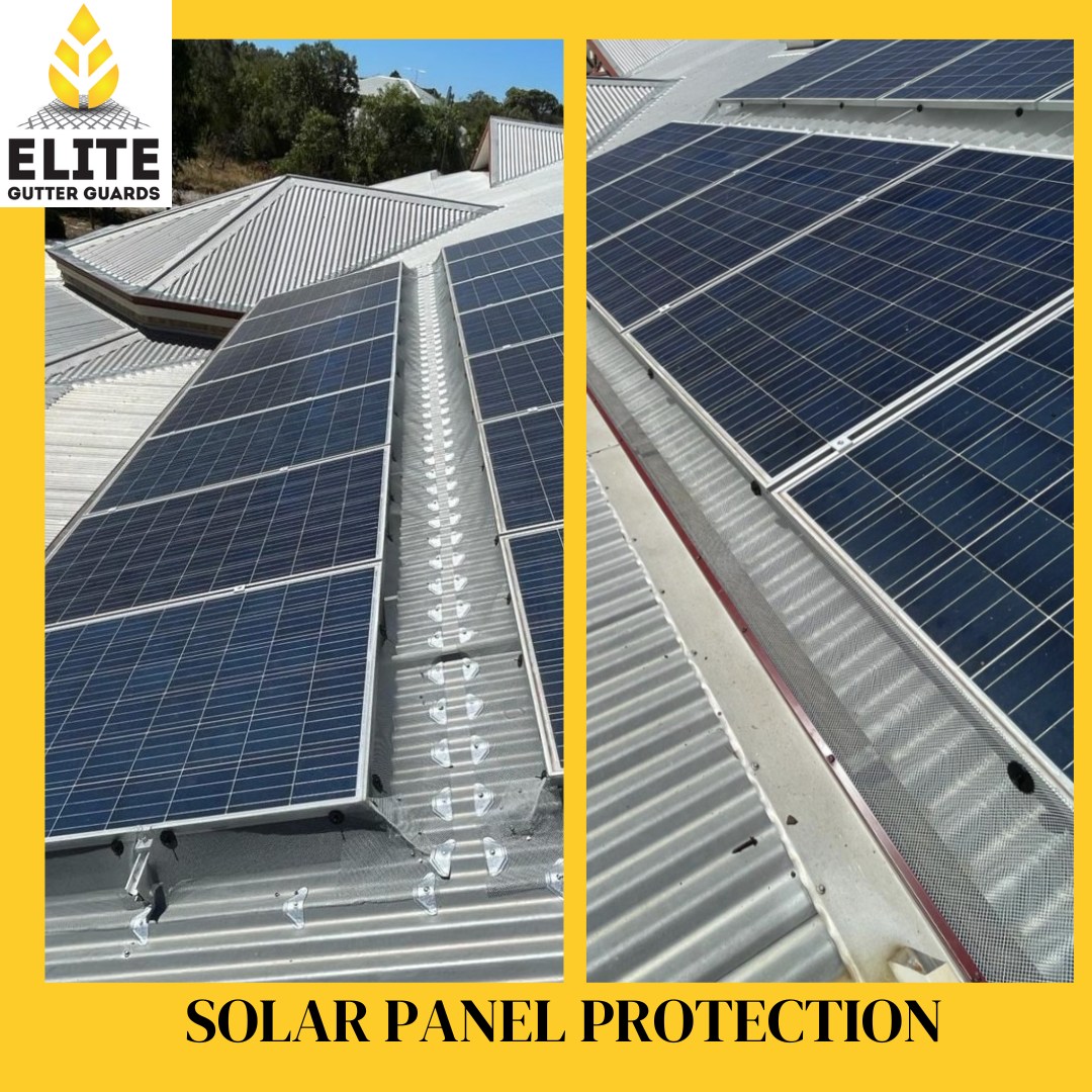 Elite - 🌟 Protecting more than just your gutters! 🌟 At Elite Gutter ...
