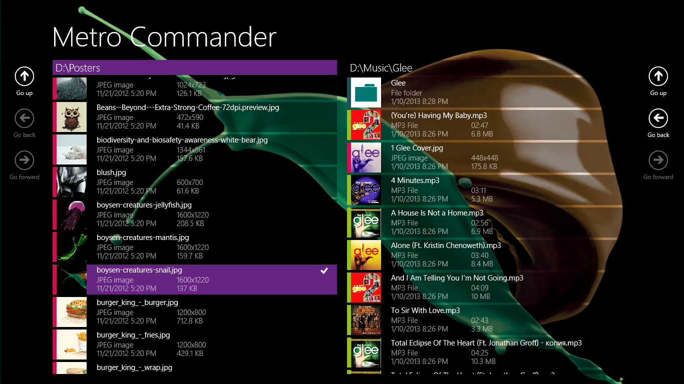 Metro Commander