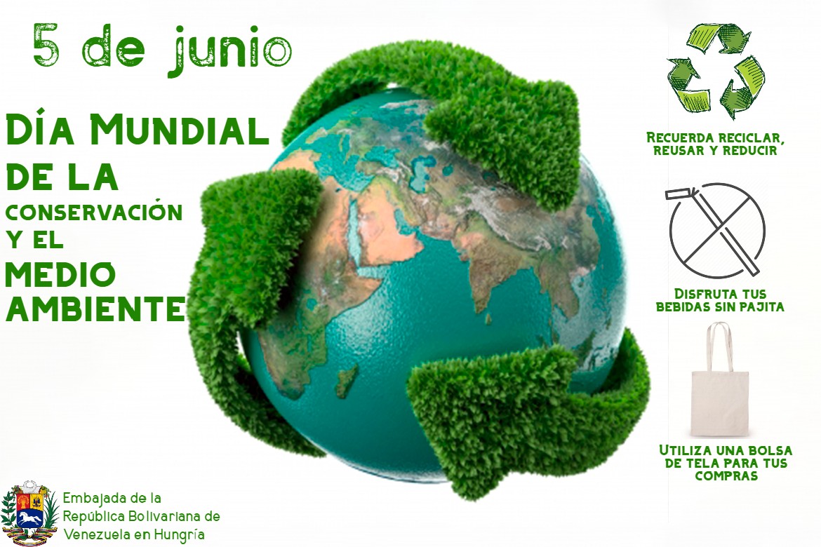 El Día Mundial del Medio Ambiente se celebra todos los años el 5 de ...